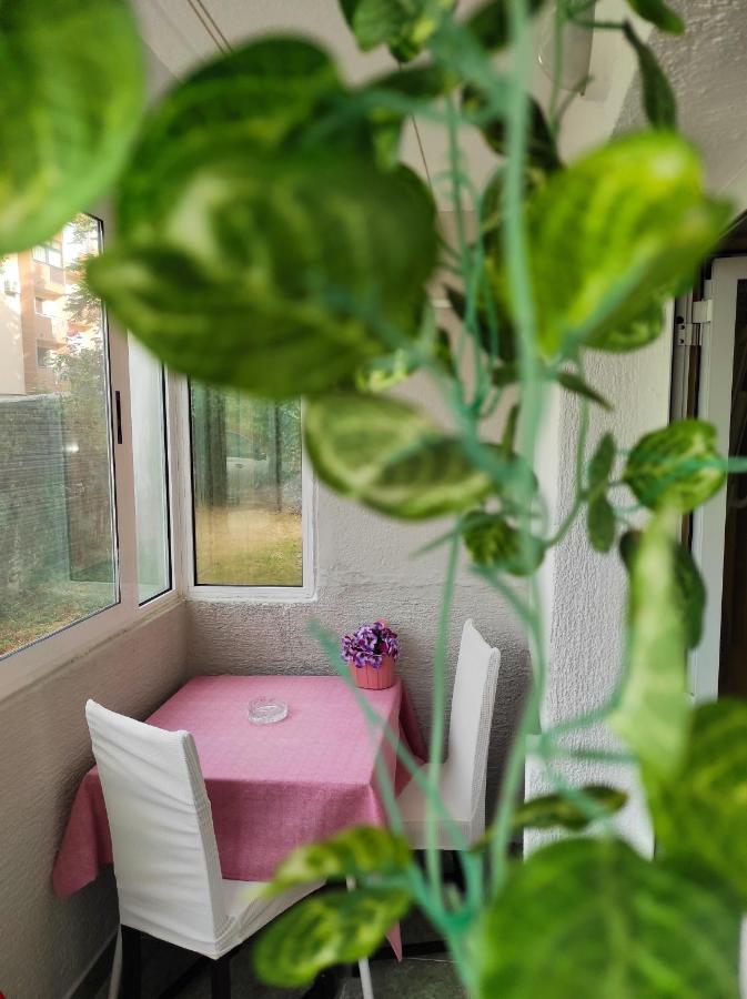 Apartment Sanja Pazin Εξωτερικό φωτογραφία