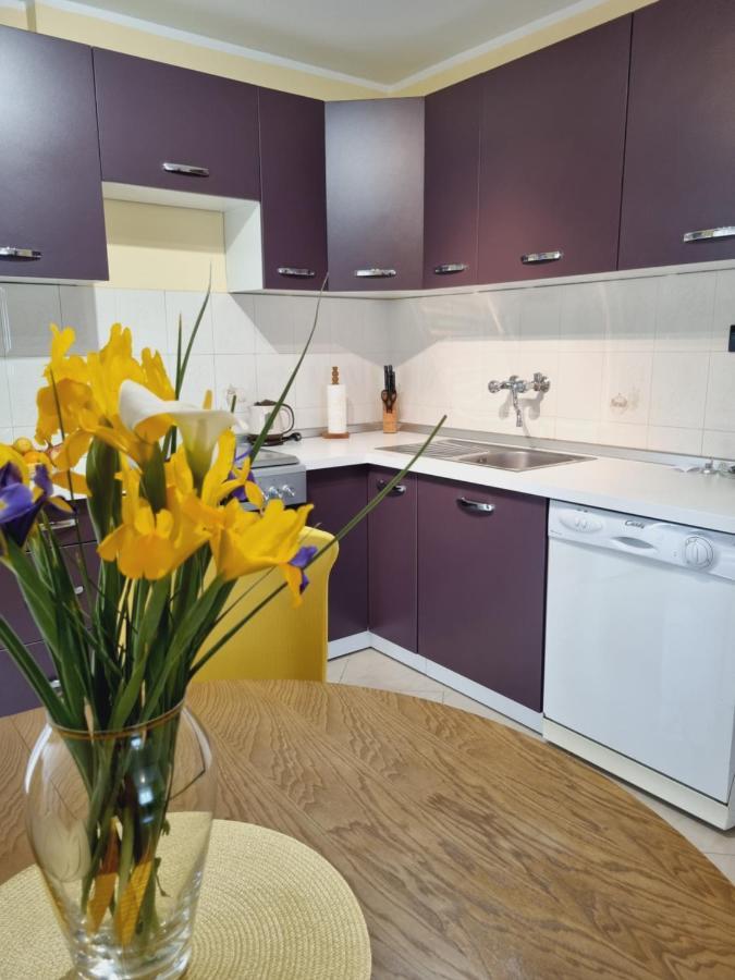 Apartment Sanja Pazin Εξωτερικό φωτογραφία