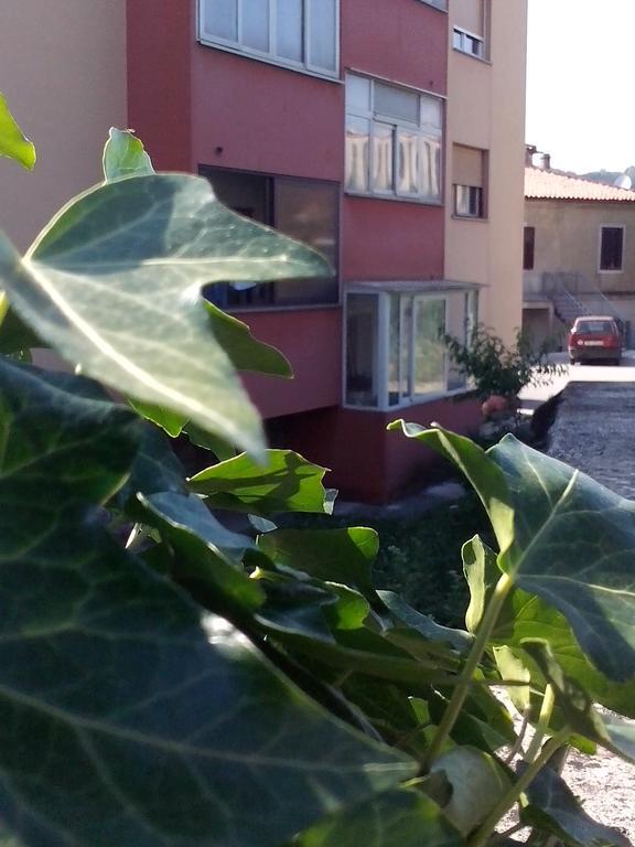 Apartment Sanja Pazin Δωμάτιο φωτογραφία